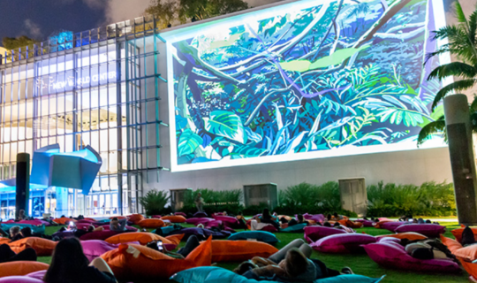 New World Symphony WALLCAST